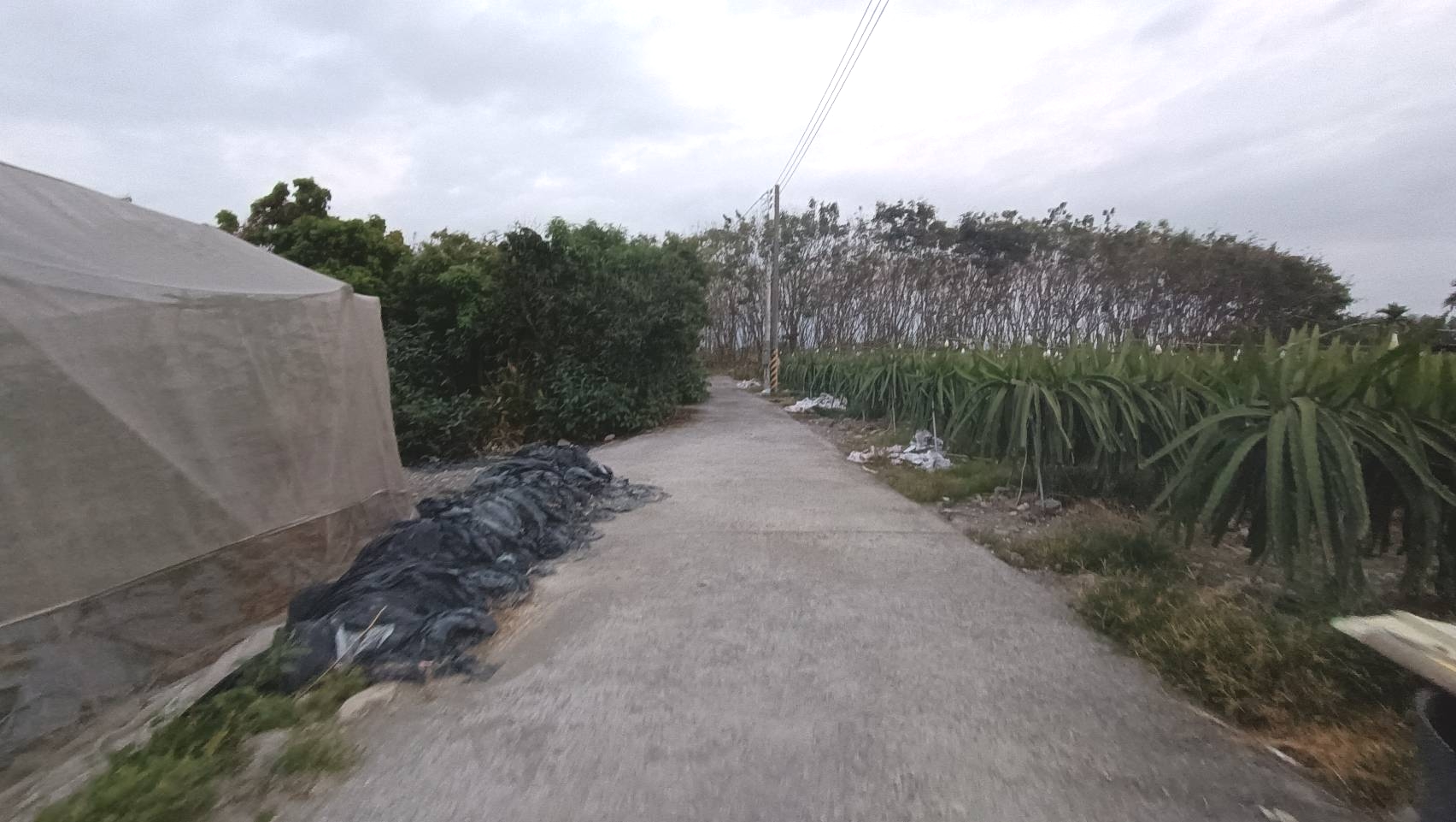 長治鄉繁華圖書館-原保地