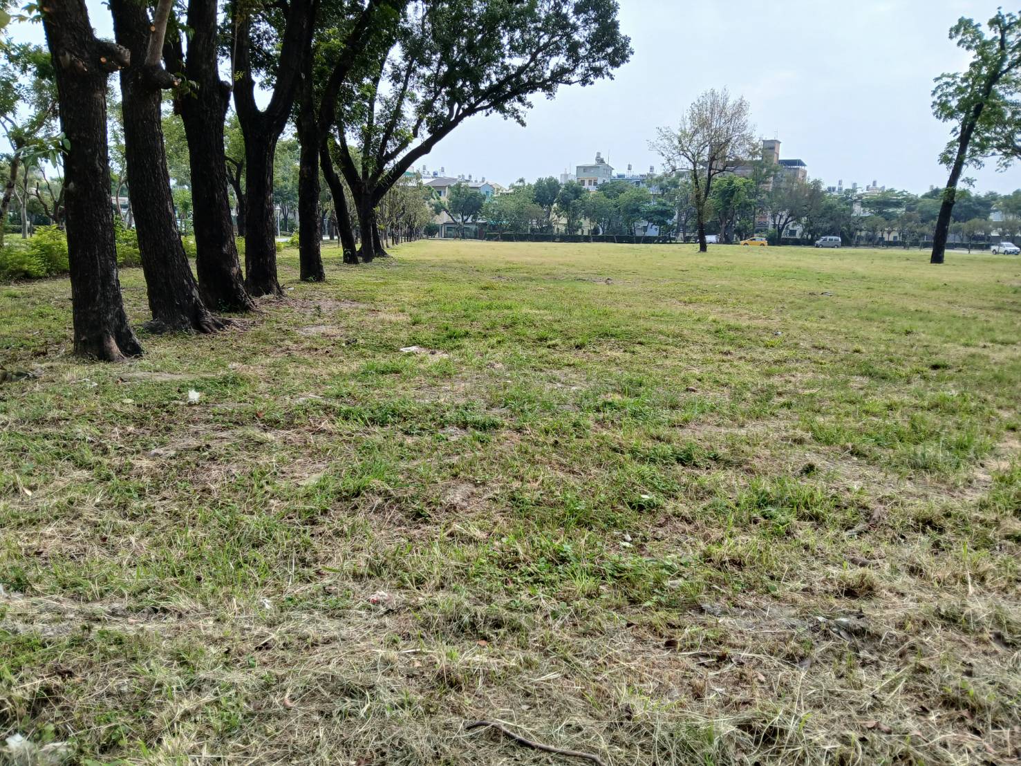 屏東榮總旁邊-都計住宅區